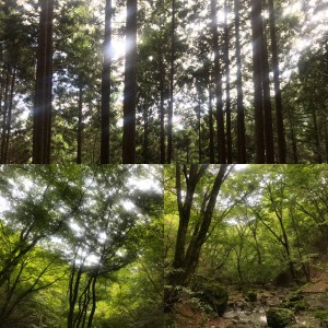 御岳山へ