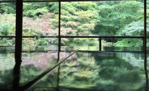 京都大阪の旅2日目 瑠璃光院