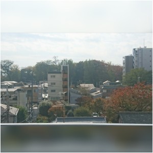 お店からの紅葉が見頃です!