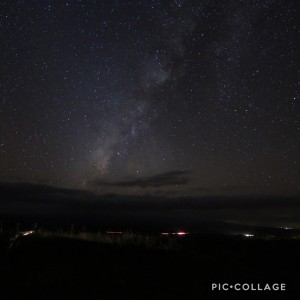 お休み、ありがとうございました!