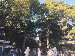 お正月休みに。