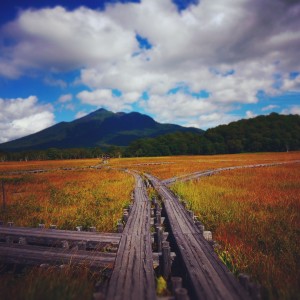秋の尾瀬ヶ原